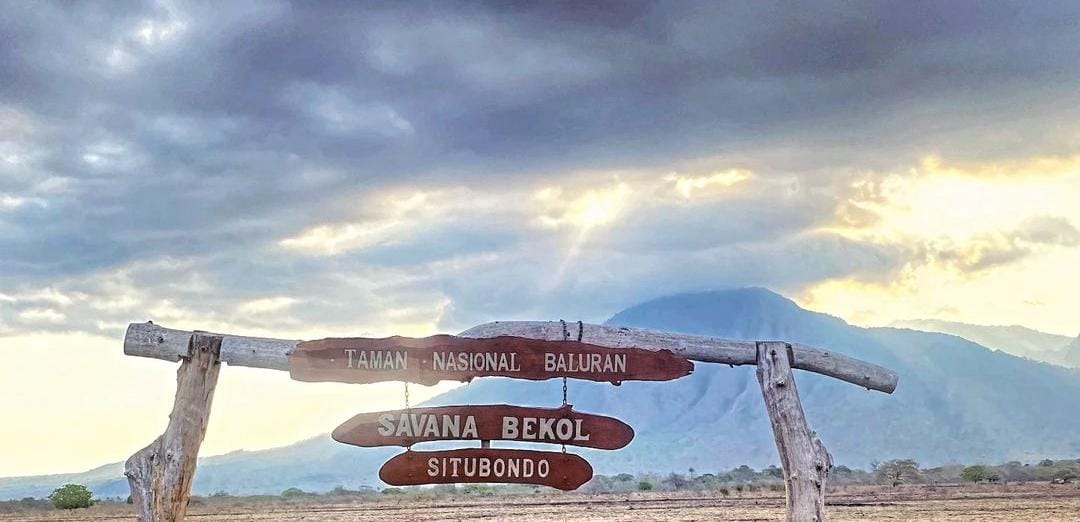 TN Baluran Situbondo. (Khoirul Rizal/RadarSitubondo.id)