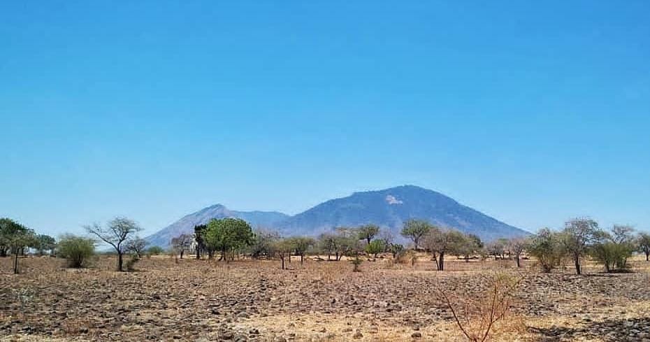 TN Baluran. (Khoirul Rizal/RadarSitubondo.id)
