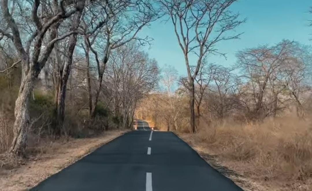 Jalur di Taman Nasional Baluran Situbondo. (Khoirul Rizal/RadarSitubondo.id)