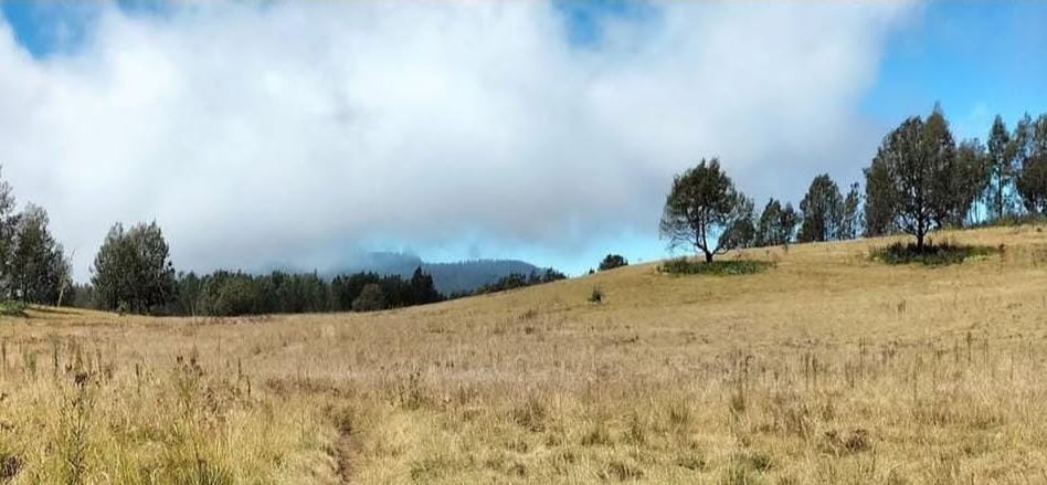 Gunung Argopuro. (ig resmi @gunungargopuro.id)