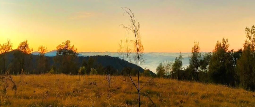 View di Gunung Argopuro. (ig resmi @gunungargopuro.id)
