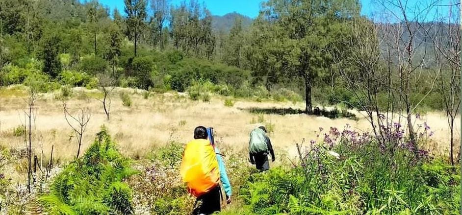 Pendakian Gunung Argopuro. (instagram resmi @gunungargopuro.id)