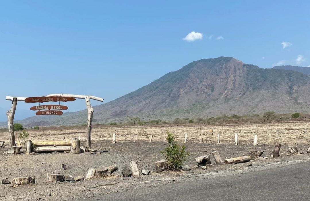 TN Baluran Situbondo. (Khoirul Rizal/RadarSitubondo.id)