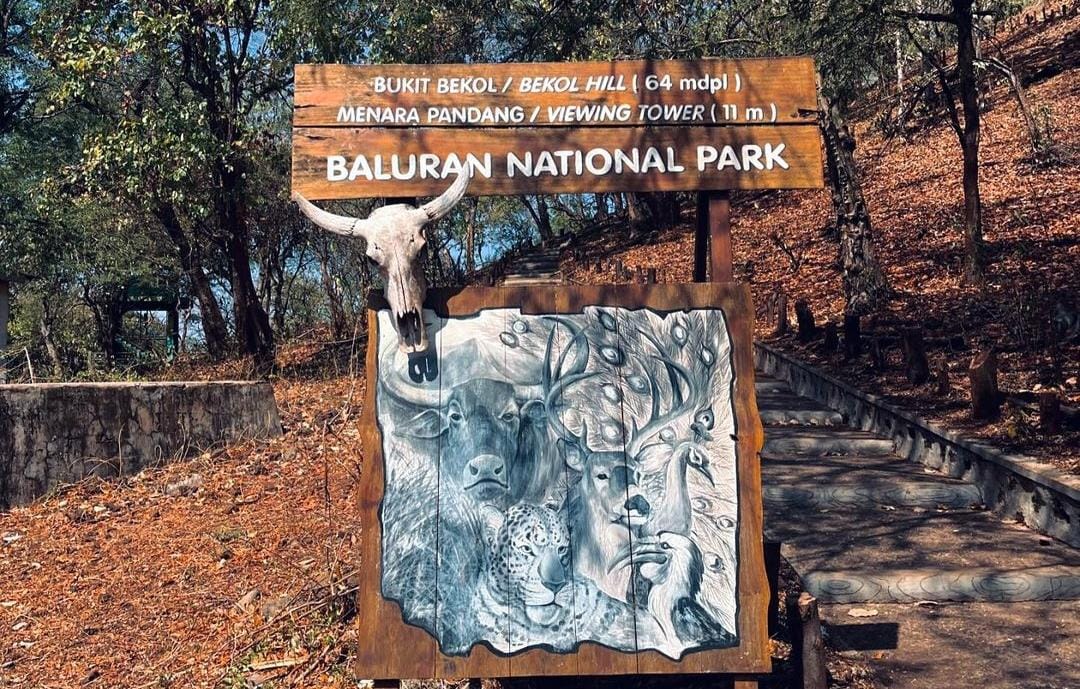Kawasan TN Baluran Situbondo. (Khoirul Rizal/RadarSitubondo.id)