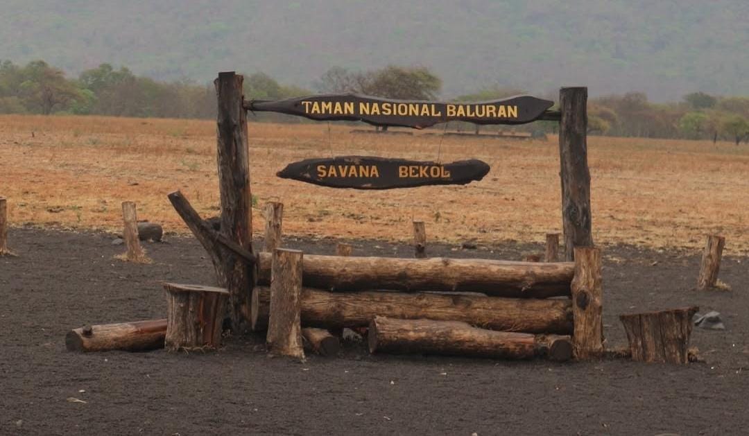 TN Baluran Situbondo. (Khoirul Rizal/RadarSitubondo.id)