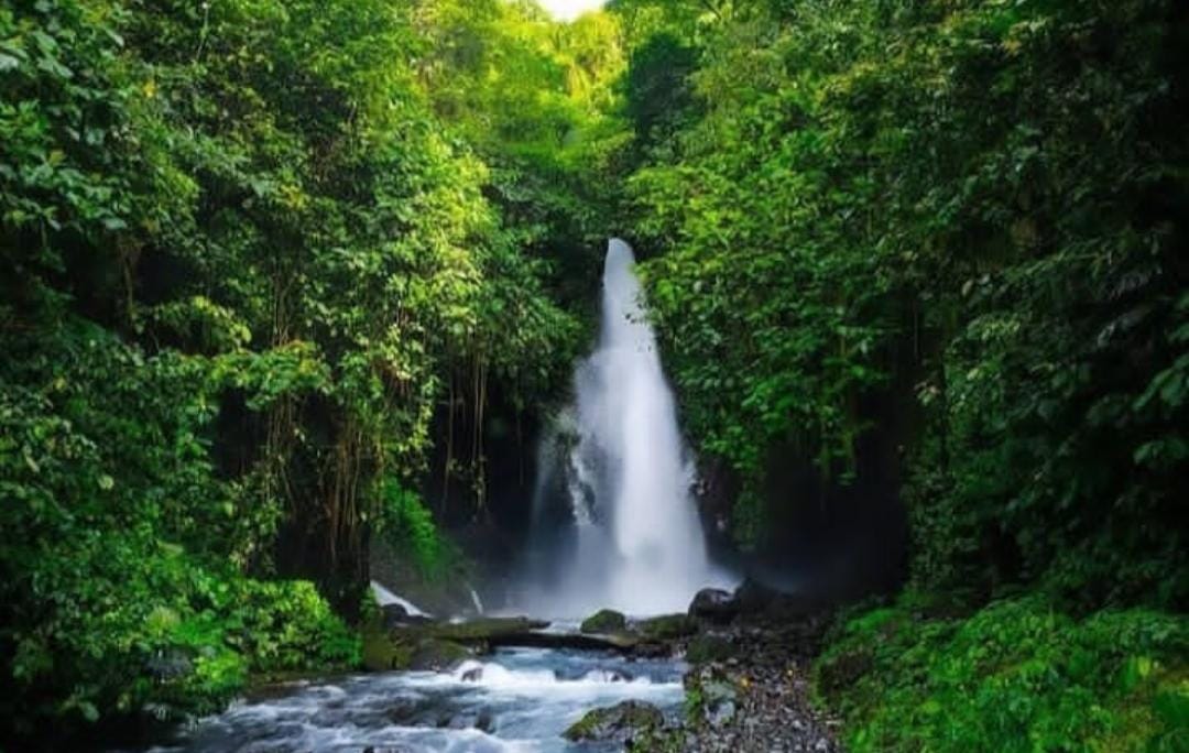 Air Terjun Telunjuk Raung. (ig resmi @telunjukraung_banyuwangi)