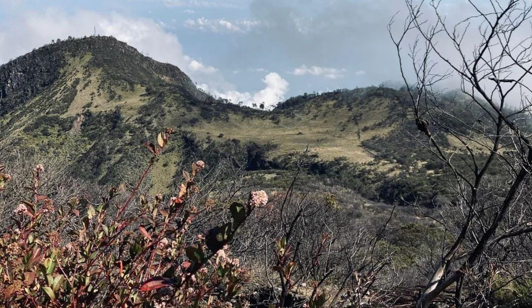 Puncak Gunung Lawu. (ig resmi @lawumontain)