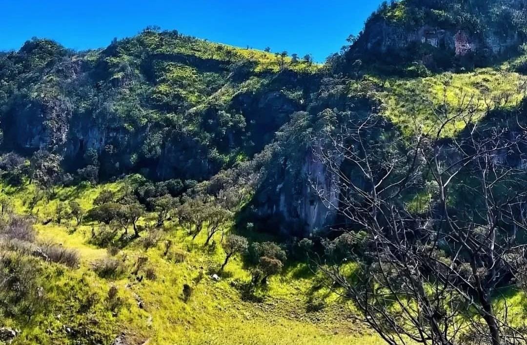 Gunung Lawu. (ig @lawumountain)