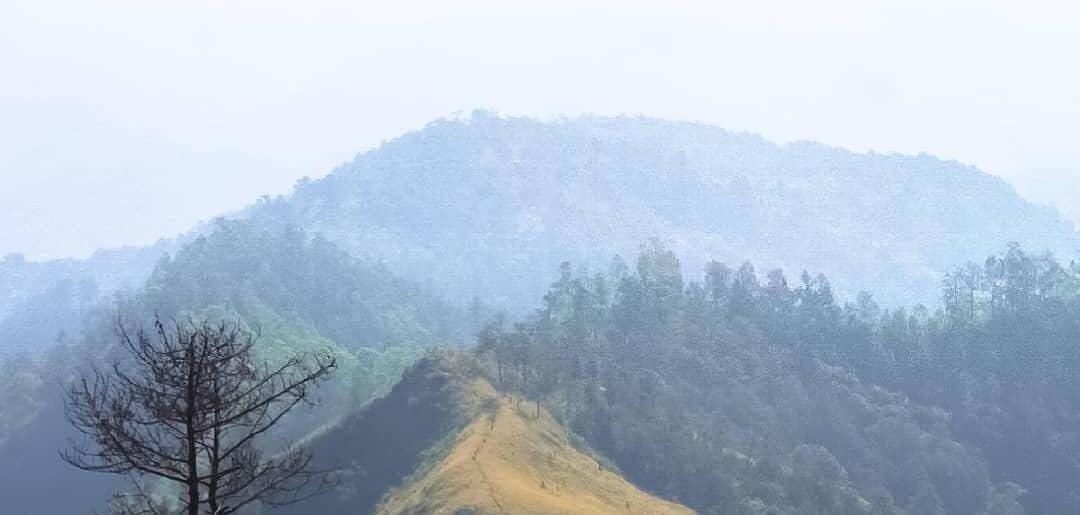 Pemandangan Gunung Wilis. (Khoirul Rizal/RadarSitubondo.id)