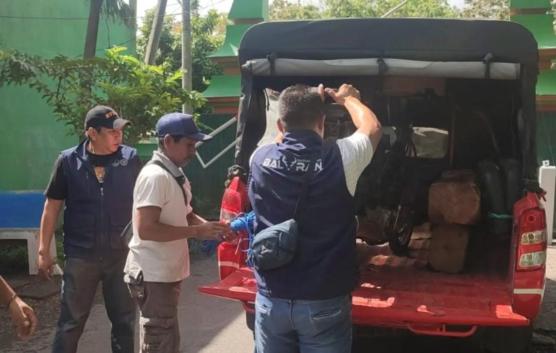 Foto: Barang Bukti Illegal Logging di TN Baluran/ Ig @btn_baluran