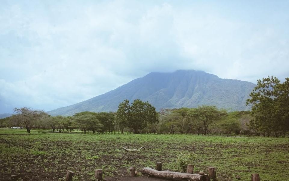 Foto: TN Baluran Situbondo/ doc Khoirul Rizal