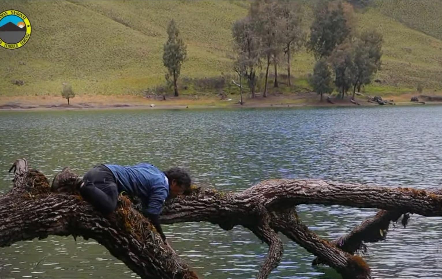 Foto: Menhut saat menanam Anggrek Udang di Ranu Kumbolo/ ig @bbtnbromotenggersemeru
