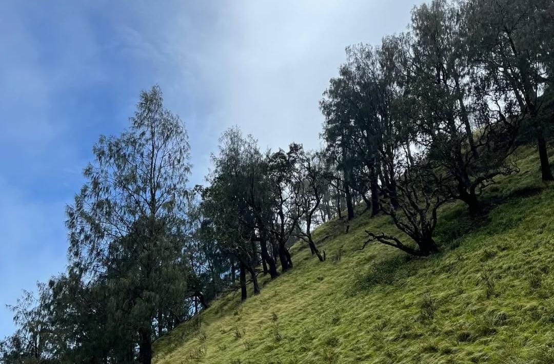 Foto: Gunung Lawu/ doc Khoirul Rizal