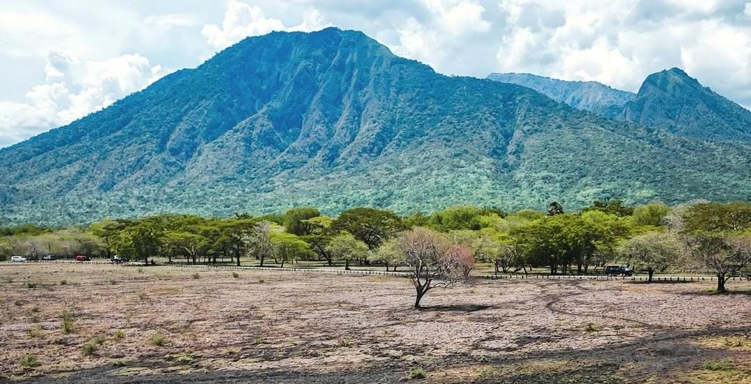 Foto: TN Baluran Situbondo/ doc Khoirul Rizal