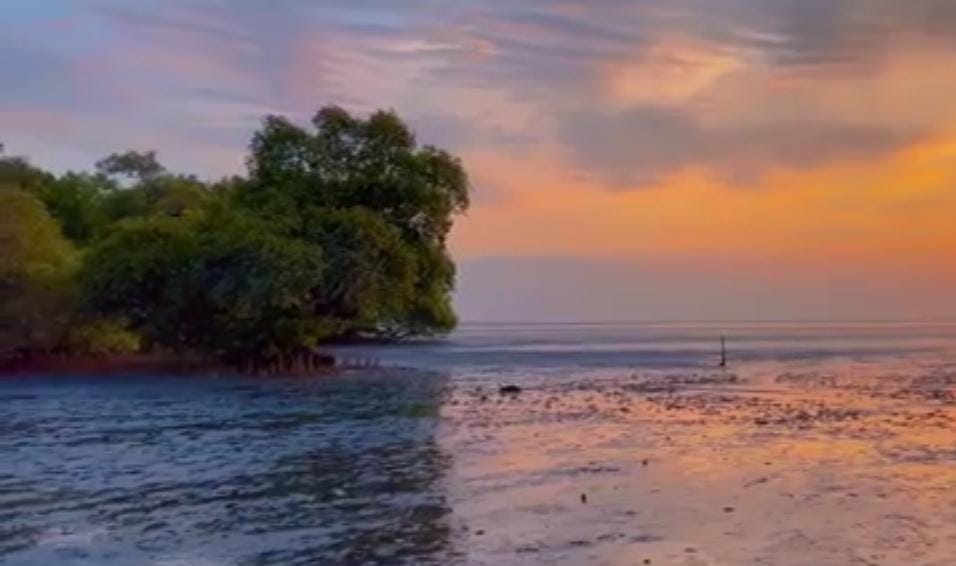 Foto: Pesona Pantai Tambak Sari/ doc Khoirul Rizal