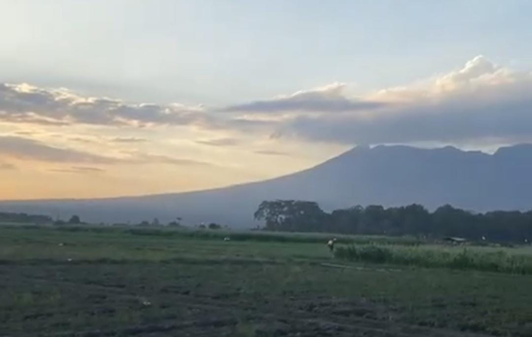 Foto: Suasana Desa Wonorejo dengan view Gunung Baluran/ doc Khoirul Rizal