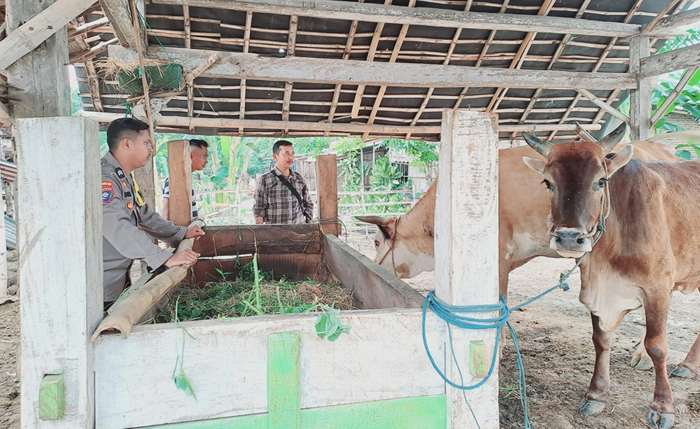 GERAK CEPAT:Anggota Polsek Kapongan meninjau jejak dua sapi hilang di Dusun Krajan, Desa Seletreng, Kecamatan Kapongan, Selasa (14/1).