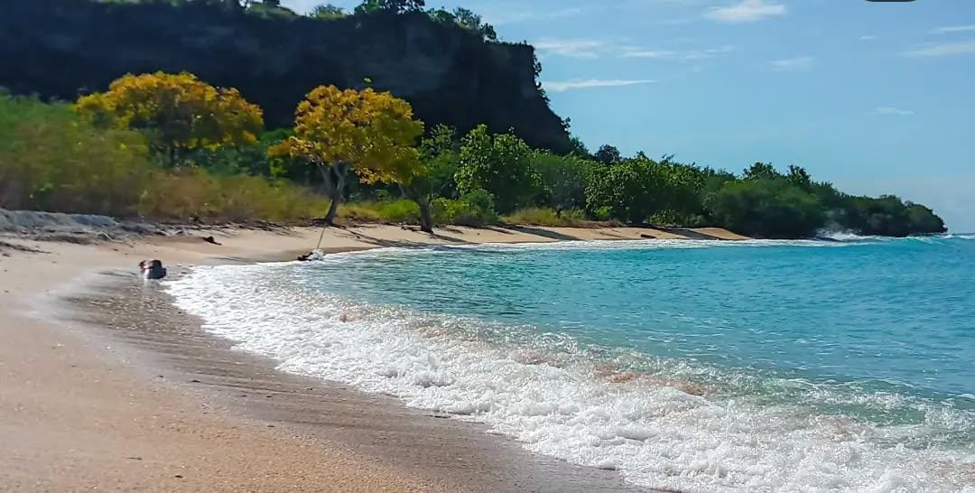 Foto: Pantai Balanan di TN Baluran/ doc Khoirul Rizal