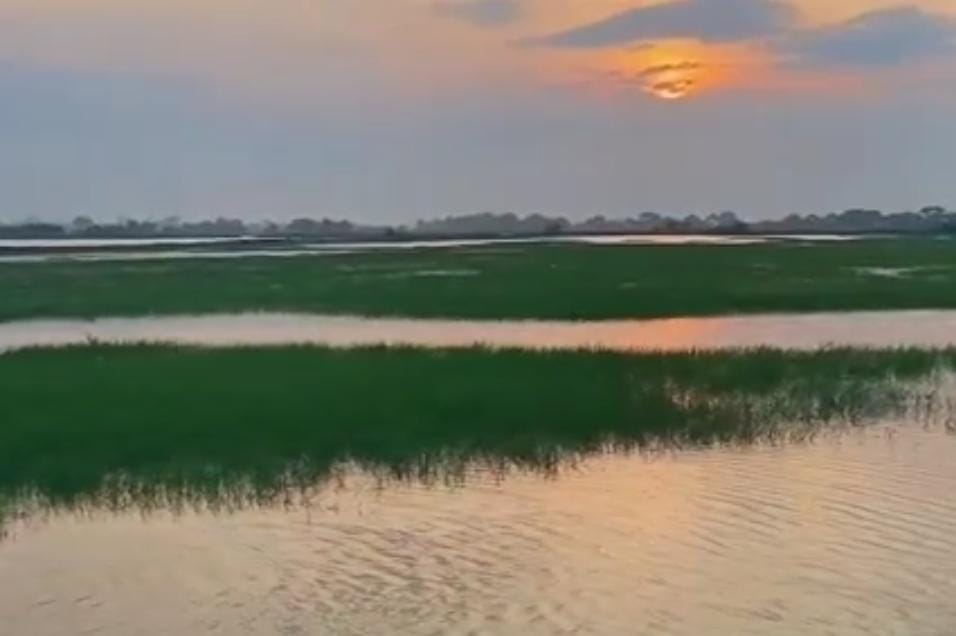 Foto: Wisata Kampung Kerbau/ doc Khoirul Rizal