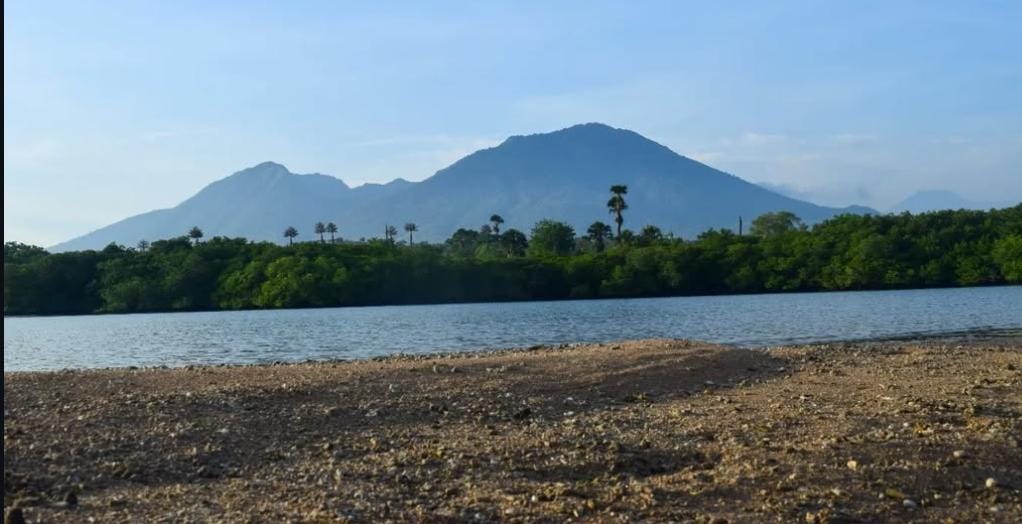 Foto: Pantai di TN Baluran/ doc Khoirul Rizal