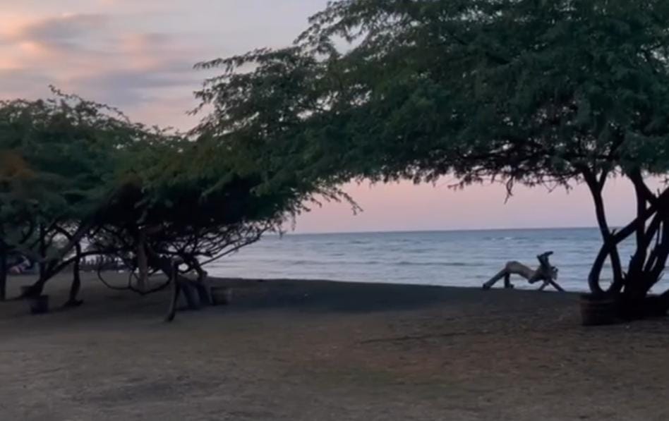 Foto: Beach Forest Klatakan/ doc Khoirul Rizal