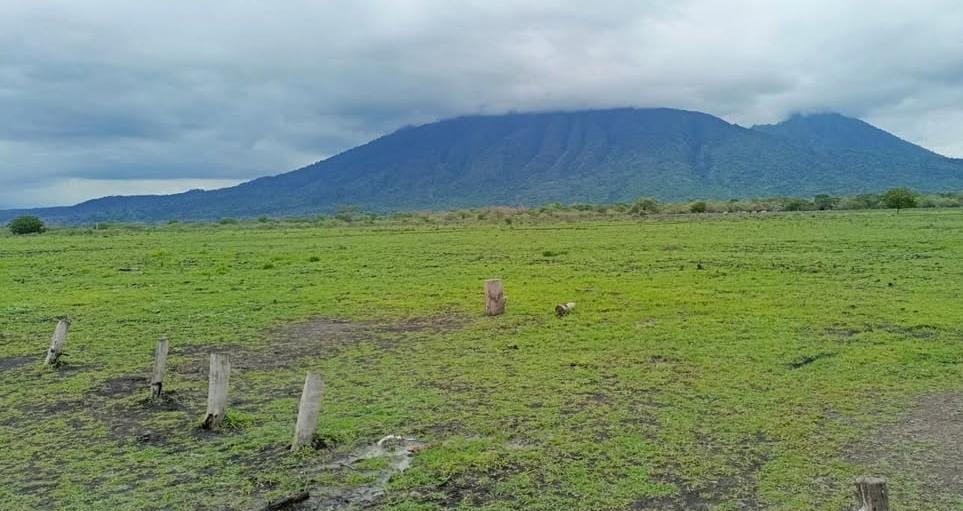 Foto: Wisata TN Baluran/ doc Khoirul Rizal