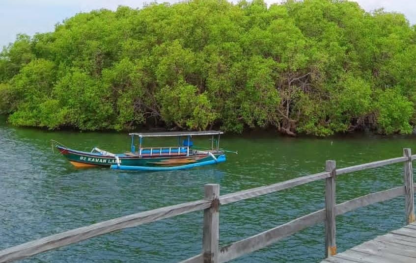 Foto: Wisata Kampung Kerapu/ doc Khoirul Rizal