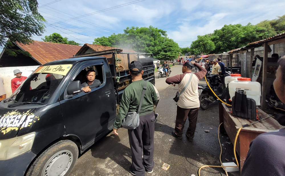 Petugas pasar hewan Sabtuan menyemprot sapi pedagang untuk mencegah penularasan virus PMK di Pasar Hewan Sabtuan, Desa Sumberkolak, Kecamatan Panarukan.