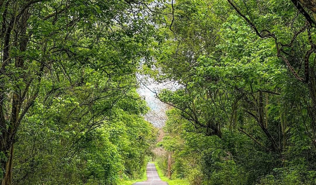 Foto: Jalan di TN Baluran Situbondo/ doc Khoirul Rizal
