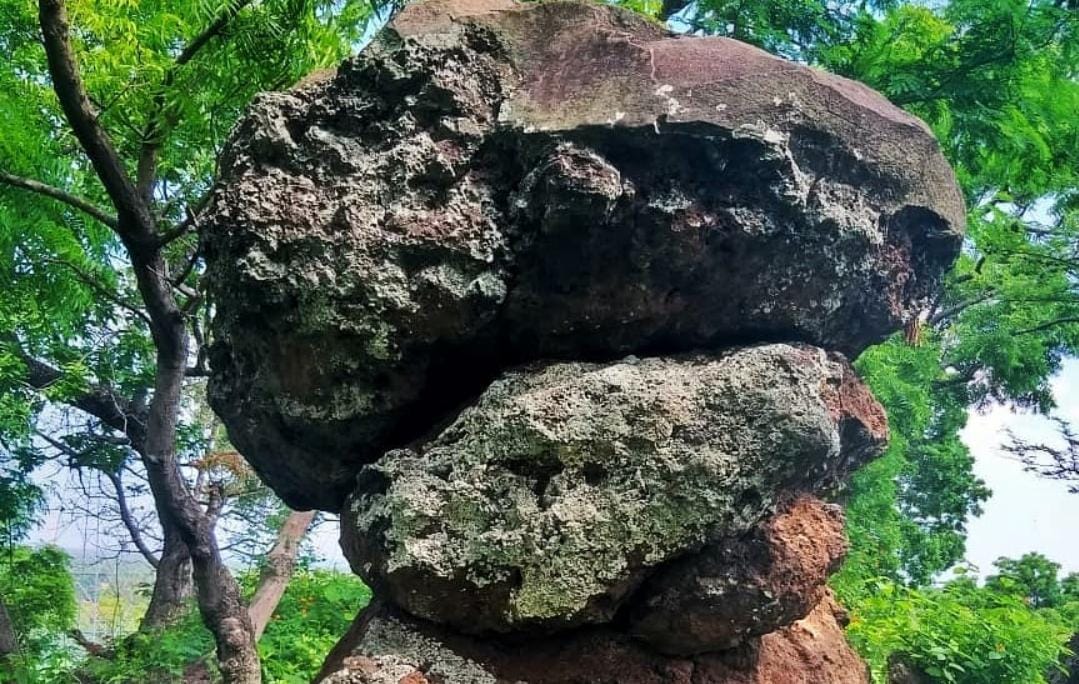 Foto: Watu Numpuk TN Baluran/ ig @btn_baluran
