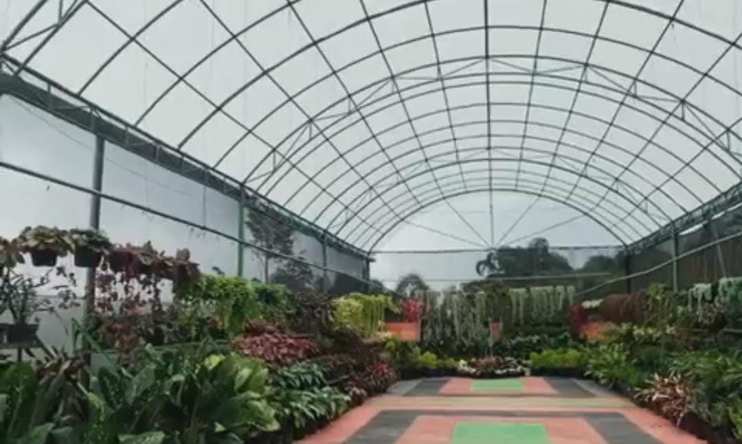 Foto: Wisata Bukit Flora/ ig @amazingmalang