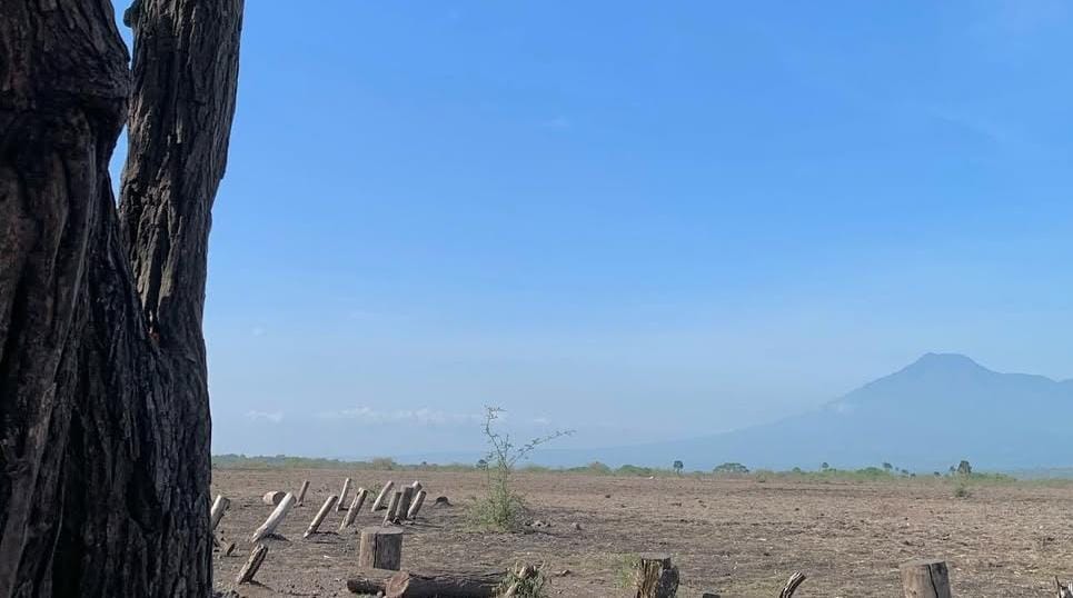 Foto: Savana Bekol TN Baluran/ doc Khoirul Rizal