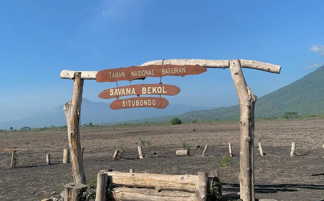 Foto: Kawasan TN Baluran Situbondo/ doc Khoirul Rizal