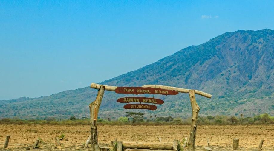 Foto: Taman Nasional Baluran/ doc Khoirul Rizal