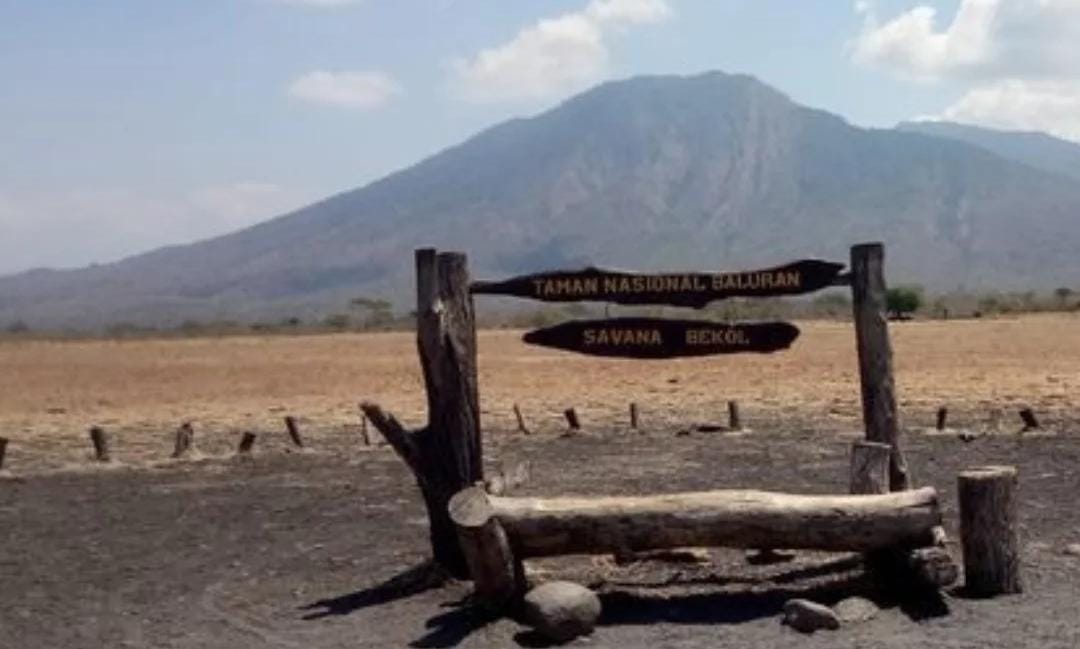 Foto: TN Baluran/ doc Khoirul Rizal