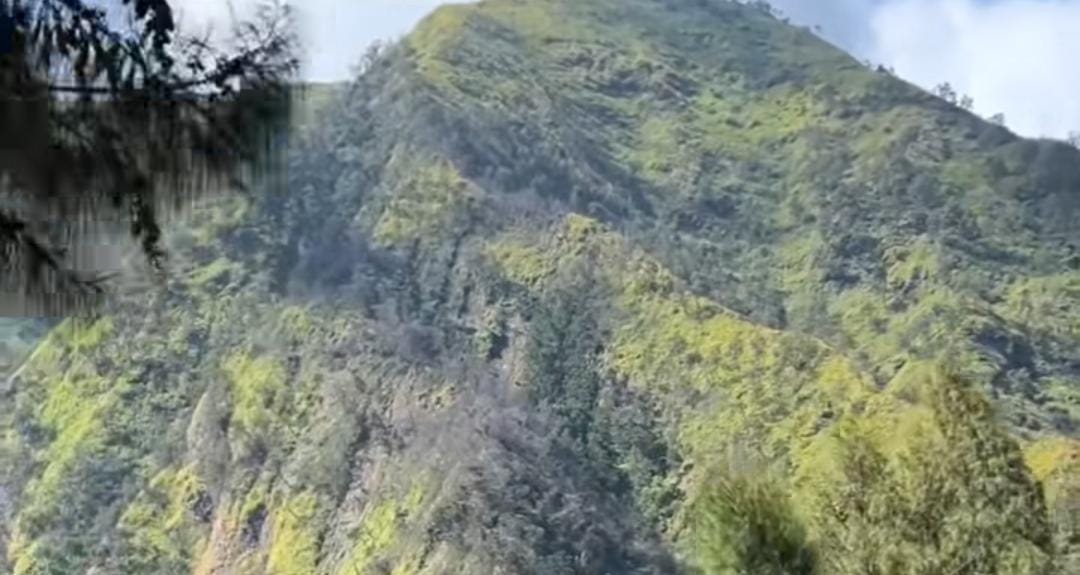 Foto: View jalan menuju Bromo/ IG @explorwisataprobolinggo for Radar Situbondo