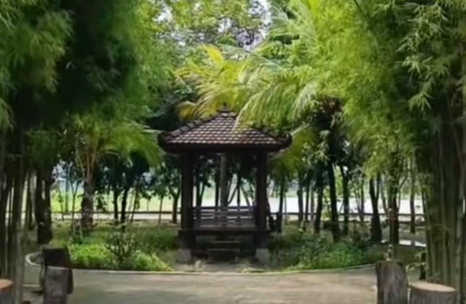 Foto: Taman Hutan Madiun/ doc Khoirul Rizal
