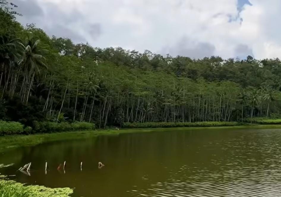 Foto: Kawasan Ranu Merah Probolinggo/ doc Khoirul Rizal