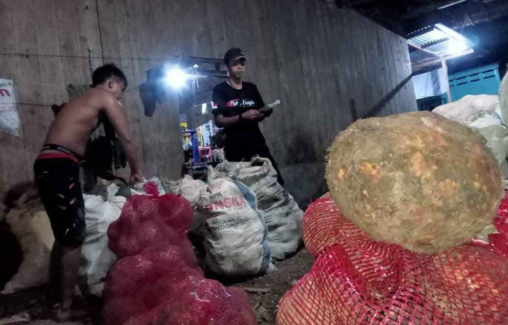 MUSIM PANEN: Pedagang menimbang porang di Dusun Telaga, Desa Curahtatal, Kecamatan Arjasa, Jumat (11/4).