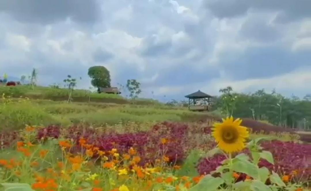 Foto: Wisata alam di Mojokerto/ doc Khoirul Rizal