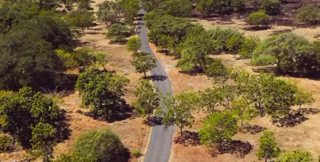 View TN Baluran/ ig @exoticijen