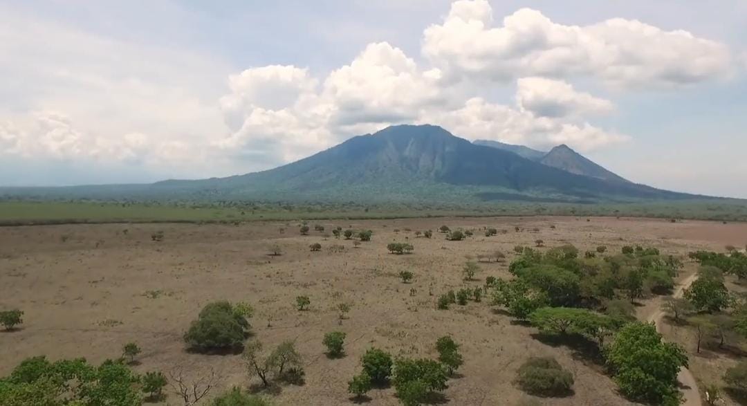 Wisata TN Baluran/ ig @btn_baluran