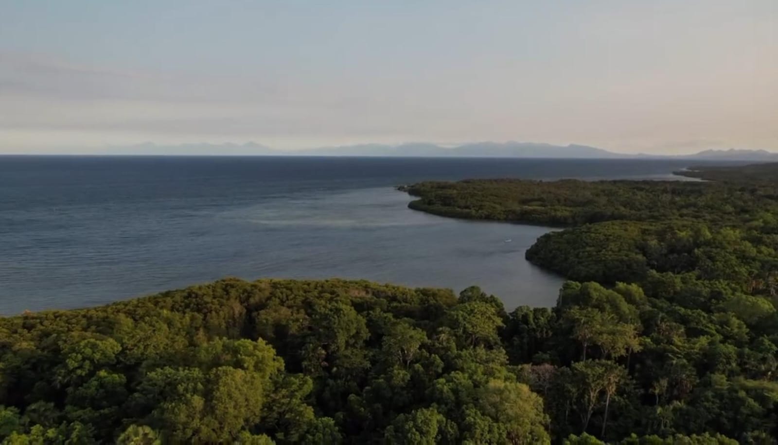 Kawasan TN Baluran Situbondo/ ig @explore_baluran