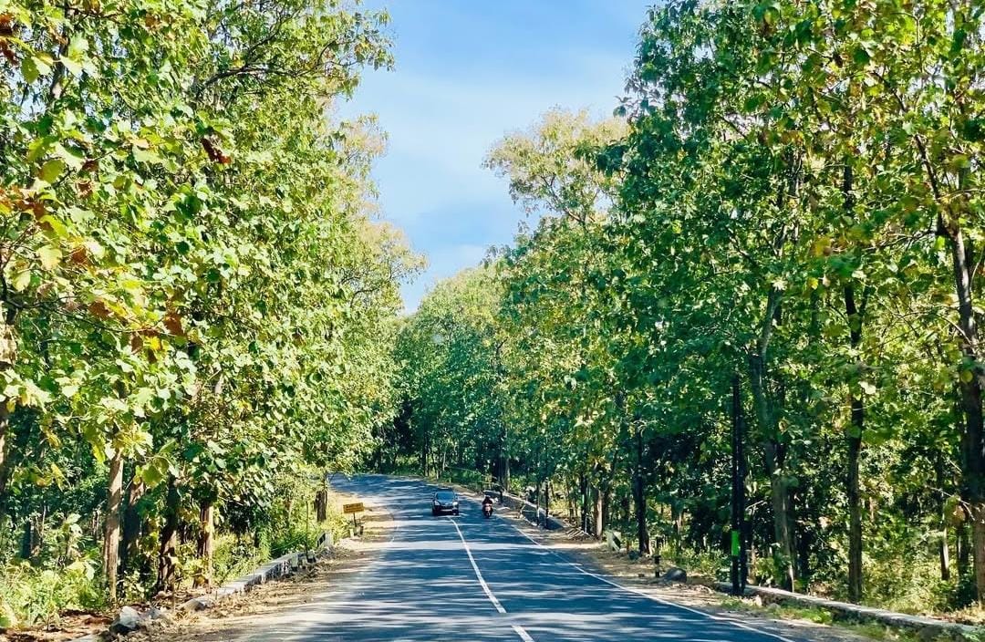 Pantura TN Baluran/ ig @krizz07