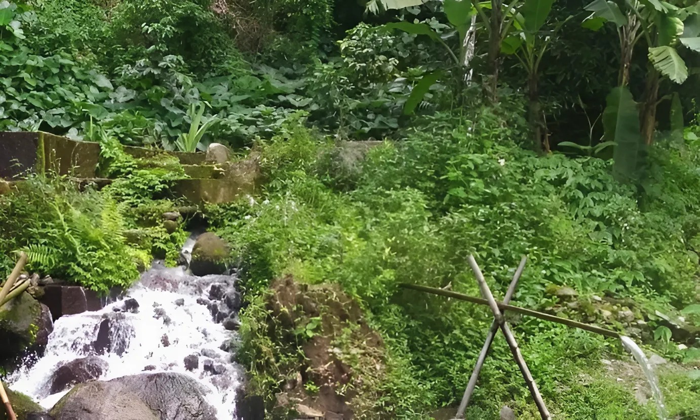 Sumber mata air di Desa Sumberwringin Bondowoso/ doc Khoirul Riza