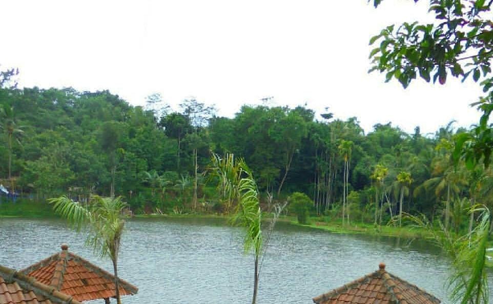 View Rawa di Alas Sumur/ doc Khoirul Rizal