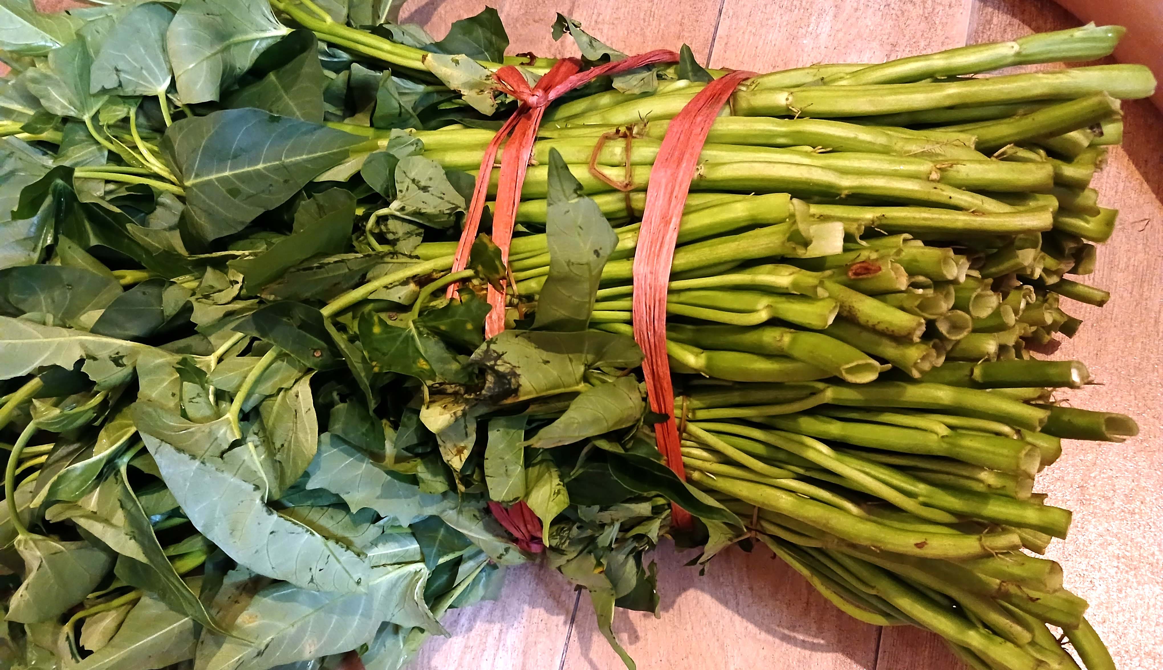 Kangkung Lombok punya ciri khas batang berukuran besar tapi lunak dan empuk rasanya.