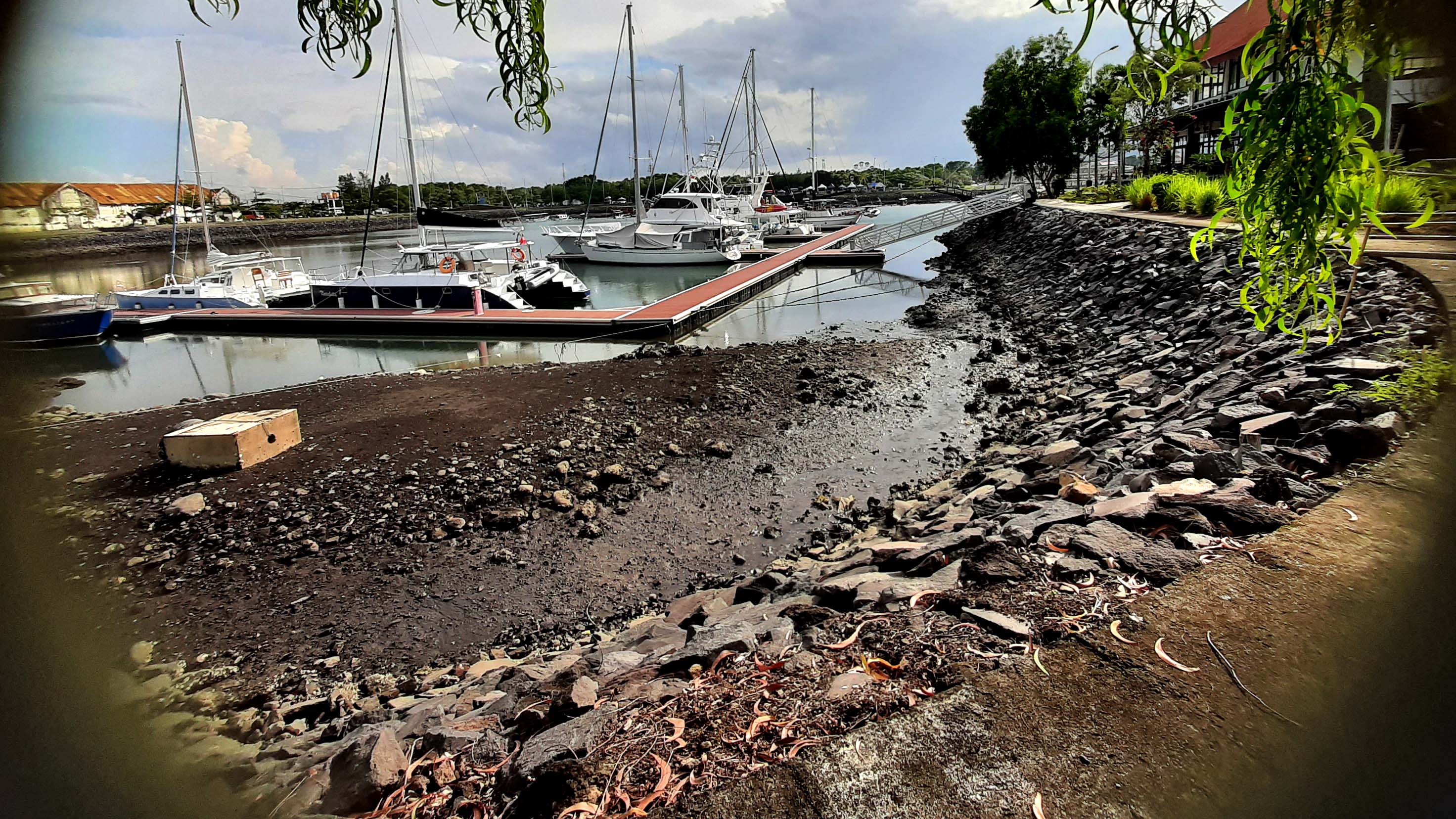 Kondisi dasar laut di kawasan dermaga Pantai Marina Boom Banyuwangi.