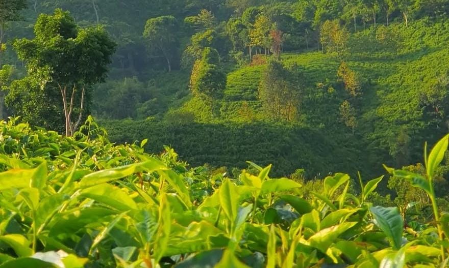 Pemandangan di Desa Andungbiru/ doc Khoirul Rizal