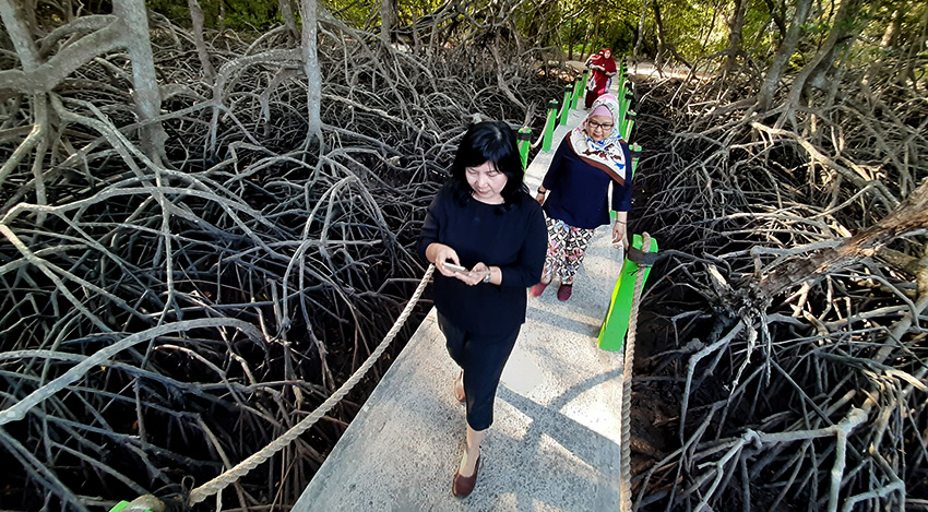 Jogging track area mangrove di dekat Pantai Bama, Taman Nasional Baluran ujung timur Kabupaten Situbondo.